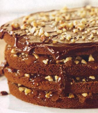 Chocolate Layer Cake