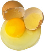 cracked egg showing whole egg yolk and white coming out of eggshell